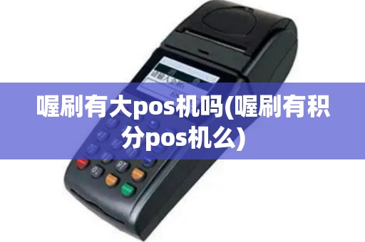 喔刷有大pos机吗(喔刷有积分pos机么)