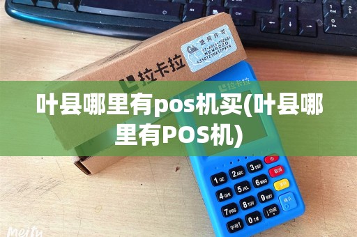 叶县哪里有pos机买(叶县哪里有POS机)