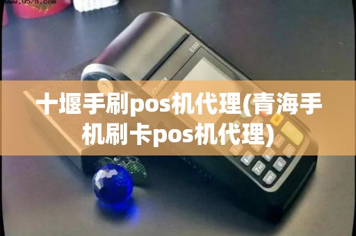十堰手刷pos机代理(青海手机刷卡pos机代理)