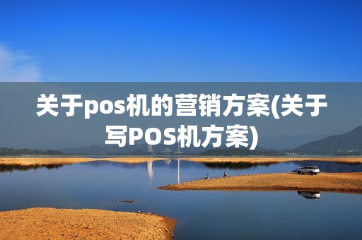 关于pos机的营销方案(关于写POS机方案)