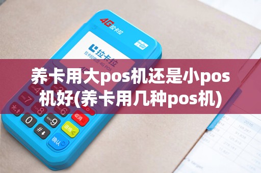 养卡用大pos机还是小pos机好(养卡用几种pos机)