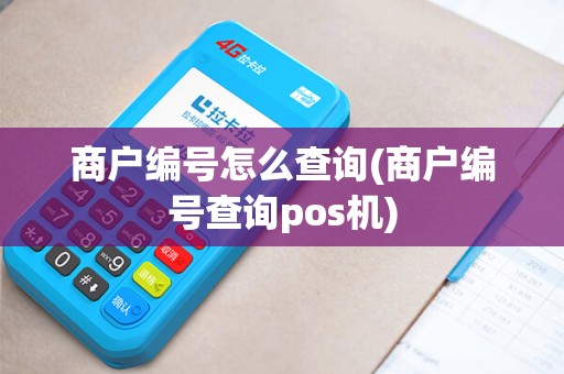 商户编号怎么查询(商户编号查询pos机)