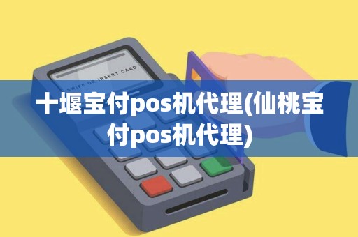 十堰宝付pos机代理(仙桃宝付pos机代理)