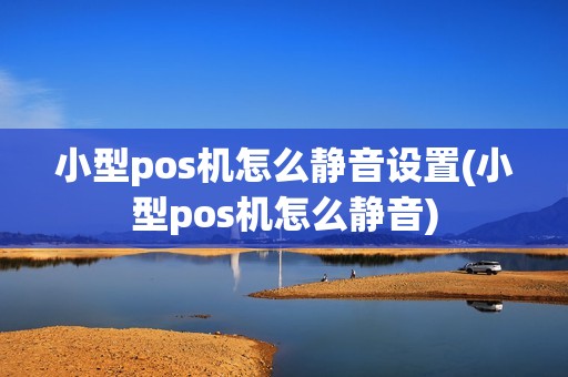 小型pos机怎么静音设置(小型pos机怎么静音)