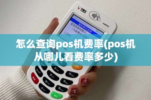 怎么查询pos机费率(pos机从哪儿看费率多少)