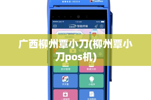 广西柳州覃小刀(柳州覃小刀pos机)