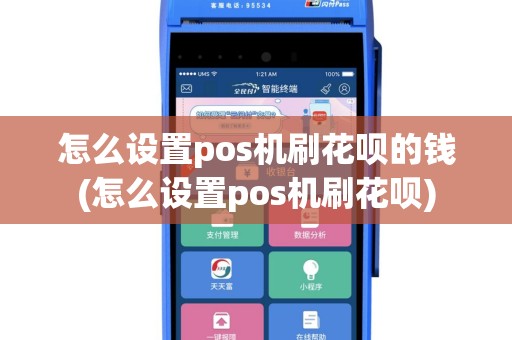 怎么设置pos机刷花呗的钱(怎么设置pos机刷花呗)
