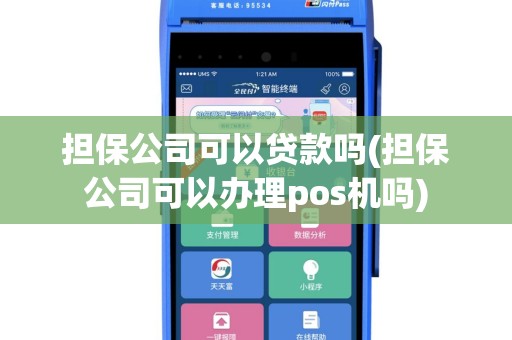 担保公司可以贷款吗(担保公司可以办理pos机吗)