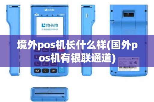 境外pos机长什么样(国外pos机有银联通道)
