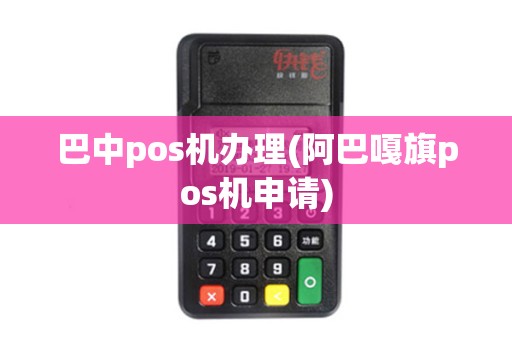 巴中pos机办理(阿巴嘎旗pos机申请)