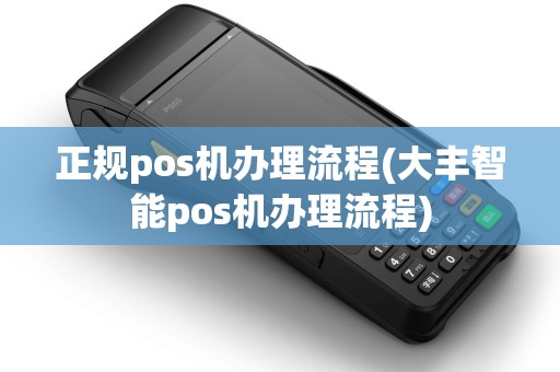 正规pos机办理流程(大丰智能pos机办理流程)