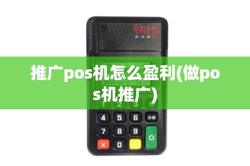 推广pos机怎么盈利(做pos机推广)
