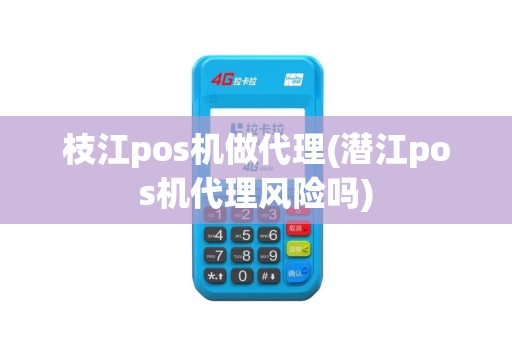 枝江pos机做代理(潜江pos机代理风险吗)