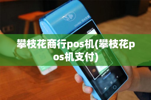 攀枝花商行pos机(攀枝花pos机支付)