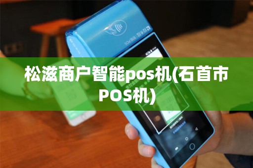 松滋商户智能pos机(石首市POS机)