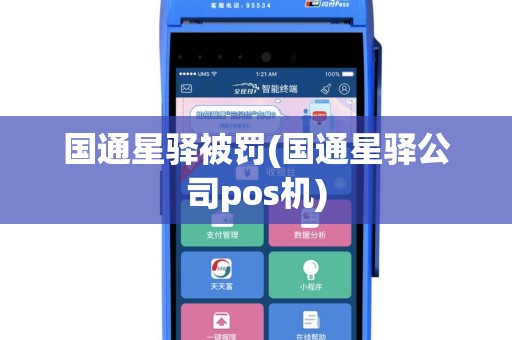 国通星驿被罚(国通星驿公司pos机)