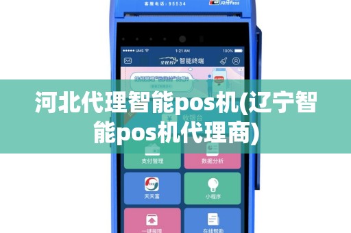 河北代理智能pos机(辽宁智能pos机代理商)