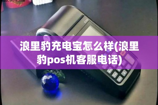 浪里豹充电宝怎么样(浪里豹pos机客服电话)