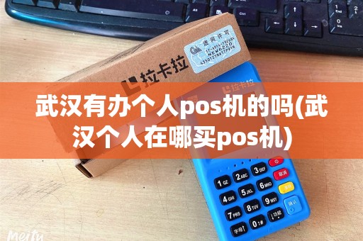 武汉有办个人pos机的吗(武汉个人在哪买pos机)