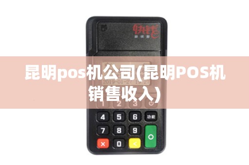 昆明pos机公司(昆明POS机销售收入)