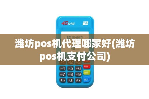 潍坊pos机代理哪家好(潍坊pos机支付公司)