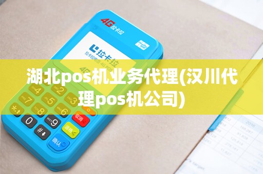 湖北pos机业务代理(汉川代理pos机公司)