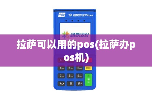 拉萨可以用的pos(拉萨办pos机)