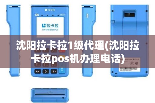 沈阳拉卡拉1级代理(沈阳拉卡拉pos机办理电话)