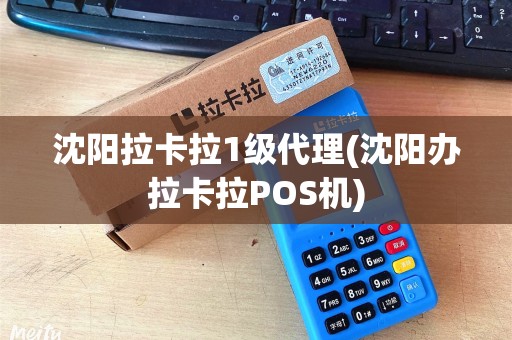 沈阳拉卡拉1级代理(沈阳办拉卡拉POS机)