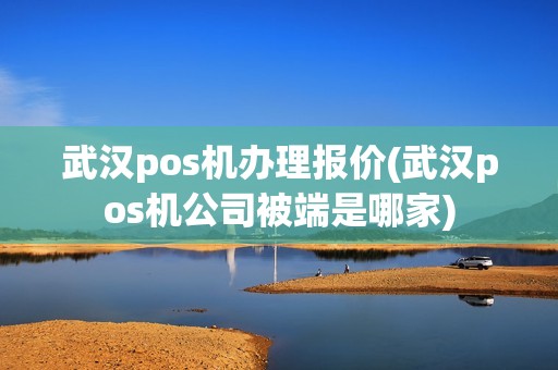 武汉pos机办理报价(武汉pos机公司被端是哪家)