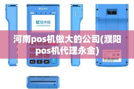 河南pos机做大的公司(濮阳pos机代理永金)