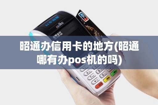 昭通办信用卡的地方(昭通哪有办pos机的吗)