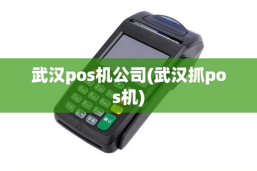 武汉pos机公司(武汉抓pos机)