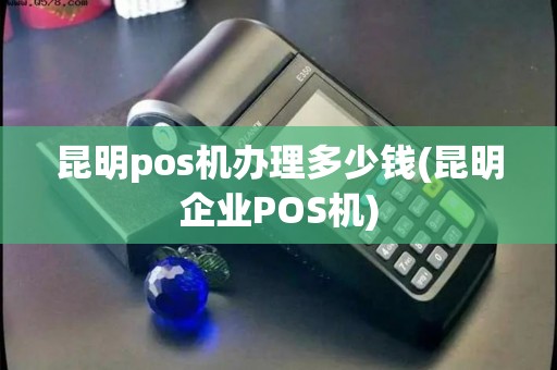 昆明pos机办理多少钱(昆明企业POS机)