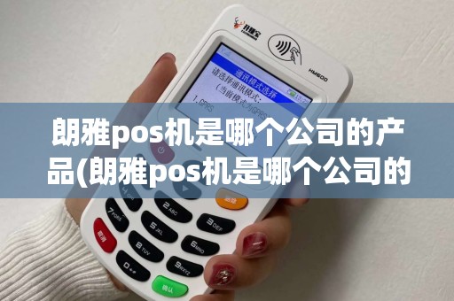 朗雅pos机是哪个公司的产品(朗雅pos机是哪个公司的)