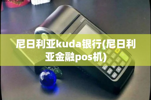 尼日利亚kuda银行(尼日利亚金融pos机)