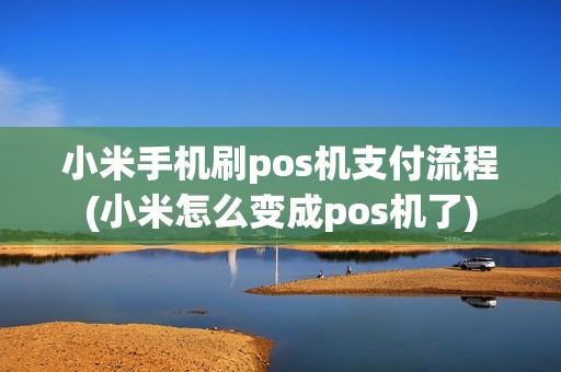 小米手机刷pos机支付流程(小米怎么变成pos机了)