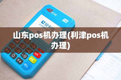山东pos机办理(利津pos机办理)