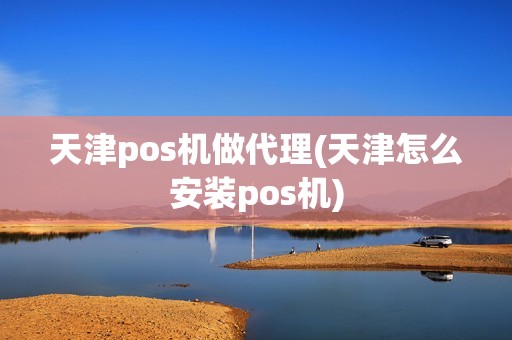 天津pos机做代理(天津怎么安装pos机)