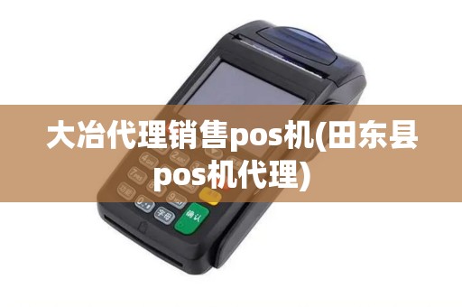 大冶代理销售pos机(田东县pos机代理)