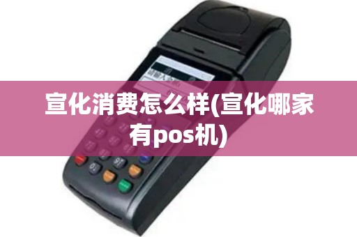 宣化消费怎么样(宣化哪家有pos机)
