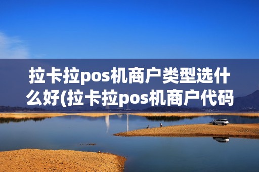 拉卡拉pos机商户类型选什么好(拉卡拉pos机商户代码表)