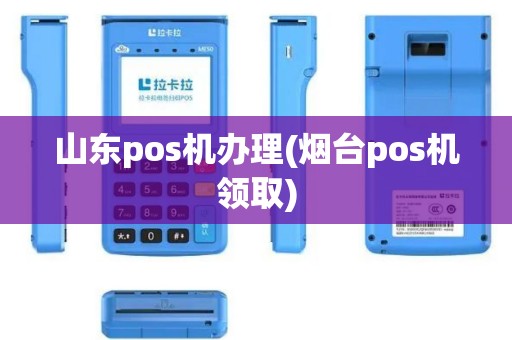 山东pos机办理(烟台pos机领取)