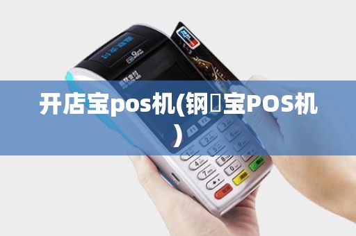 开店宝pos机(钢镚宝POS机)