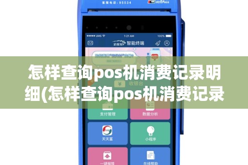 怎样查询pos机消费记录明细(怎样查询pos机消费记录)