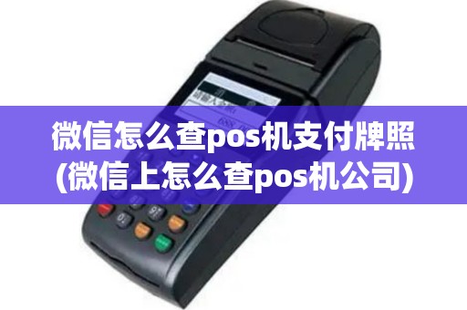 微信怎么查pos机支付牌照(微信上怎么查pos机公司)
