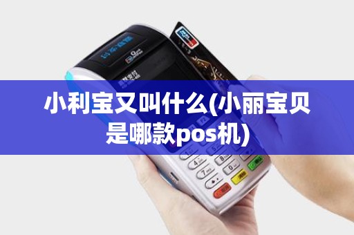 小利宝又叫什么(小丽宝贝是哪款pos机)