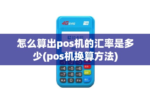 怎么算出pos机的汇率是多少(pos机换算方法)