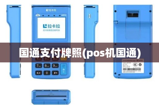国通支付牌照(pos机国通)