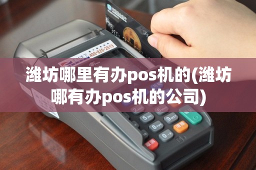 潍坊哪里有办pos机的(潍坊哪有办pos机的公司)